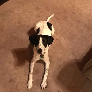 Meet your Posher, Payton